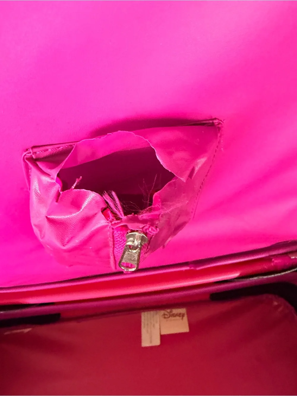 Disney Princess luggage